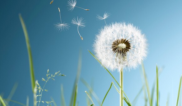 Udržitelnost v praxi